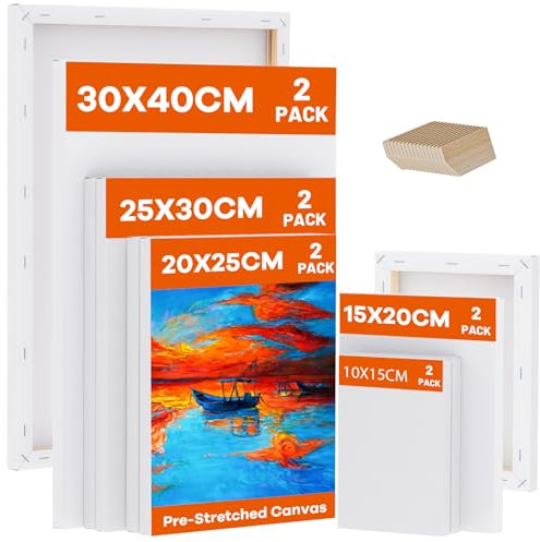 Koncci Lot de 10 toiles vierges tendues pour peinture, 10x15, 15x20, 20x25, 25x30, 30x40cm, 280gsm Chassis pour Toile de Bois Tendue pour Aquarelle Acrylique, Artistes Et Débutants