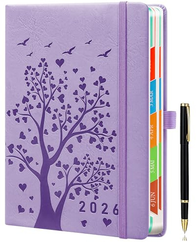 Day by Day 2026 A5 Tageskalender – 1 Tag pro Seite – Tagesplaner, Terminkalender, Buchkalender, Jahresplaner von Januar bis Dezember, mit bunten Monats-Tabs, Felsenhimmel-Motiv, inklusive Stift.