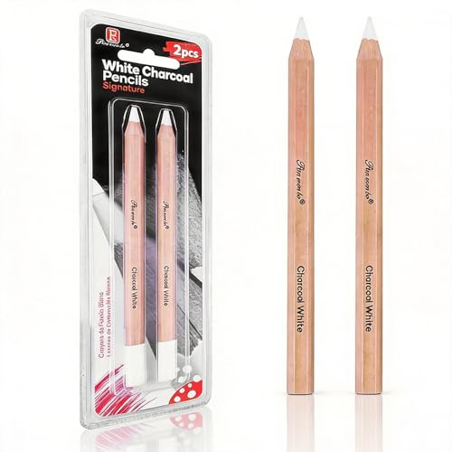 White Charcoal Pencil, Charcoal Pencils Set, 2Pcs Sketch Highlight White Pencils for Drawing, Sketching, Shading, Blending, 7mm Core Chalk Pencil for Beginners Artists