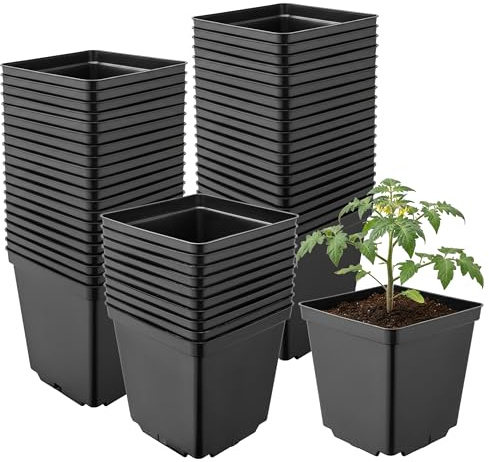 Garronda Pflanztopf Kunststoff 15 x 15 x 15 cm (2,5L) 50er Set eckig mit Drainagelöchern Blumentopf robust Pflanzentopf für Garten Gewächshaus Balkon Anzucht Innen Außenbereich Schwarz GD-0199