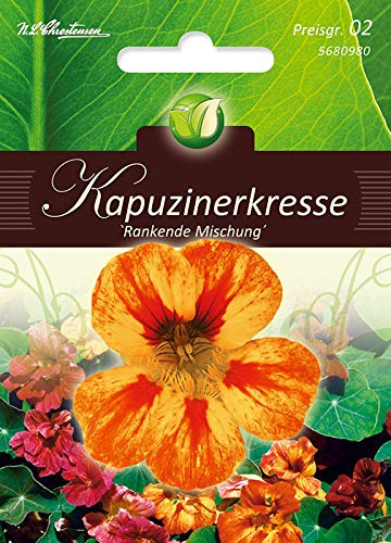 Chrestensen Kapuzinerkresse Rankende Mischung 'Tropaeolum majus'