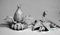 Pechetruite 2 x Death Star Lilies - Reaper Bones Miniature zum Rollenspiel Kriegsspiel - 77504