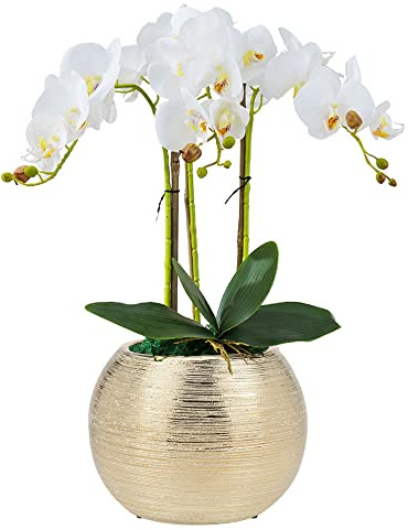 Decor Trends Übertopf, rund, goldfarben, metallisch, 17,8 cm, dekorativ, goldfarben, Blumenvasen (Gold)