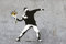 blumenwerfer banksy Bilder quer Grau- hochwertige Wandbilder, Streetart graffiti Kunstdruck I Wanddekoration, XXl Leinwandbilder I fertig zum Aufhängen (60x80 cm)