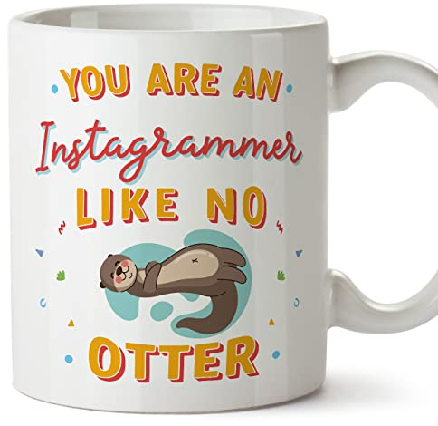 Mugffins Tasses pour INSTAGRAMEUSES - En Anglais - Cadeau original pour INSTAGRAMEUSES - You Are Like No Otter - 11 oz / 330 ml