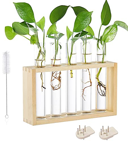 Soporte para Jarrón Tubos De Ensayo, Propagar Plantas, Jarrón De Tubo De Ensayo, Jarrón Hidropónico, Jarrón De Tubo Vídrio, para Plantas Hidropónicas, Decorativo, con Marco De Madera (5 Tubos)