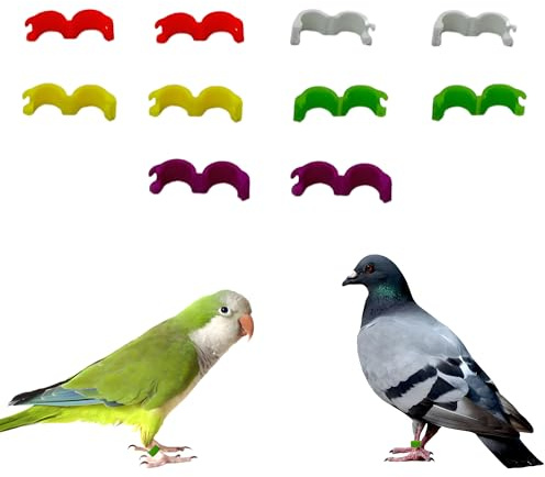 DHER 10 StüCk 5 Mm Taubenringe Tauben FußRinge Vogel FußRinge BrieftaubenfußRing Farbige Kunststoff-Vogelringe Insgesamt 5 Farben (A, 5MM)