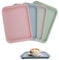 KiKiHong 4 Bandeja Rectangular, Bandeja Pequeña,Bandeja Plastico Reutilizable para Cocina, Restaurante, Cafetería,Hotel 24,5 x 17,5 cm (4 Colores)