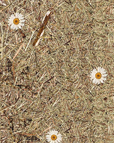 WallFace Wandverkleidung Natur Dekor AL-11004 ALPINE WHITE DAISY selbstklebende Tapete strukturiert mit echten unbehandelten alpinen Blumen und Gräsern matt braun weiß 4,026 m2