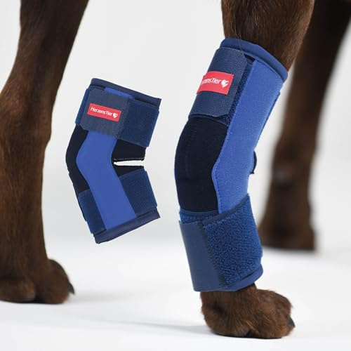HERZENSTIER Sprunggelenkbandage aus Schaumstoff Gr. L für Hunde & Katzen, atmungsaktiv mit Schienen zur Sprunggelenks-Unterstützung mit bei Arthrose & Instabilität