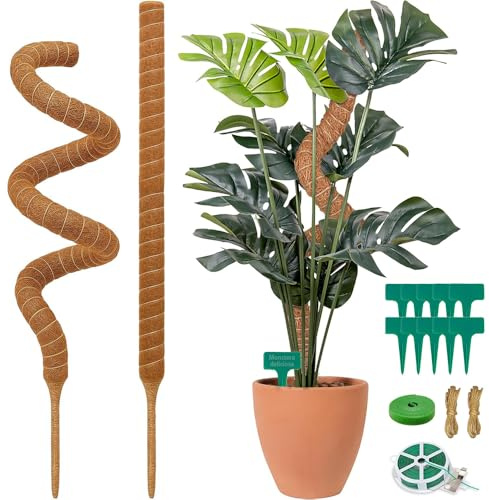2 Stück Monstera Rankhilfe 60cm, Moosstab Monstera, Biegbare Moosstab, Kokosnuss Stab Flexibel, Monstera Stabilisierung, Rankhilfe aus Kokosfaser, Moss Pole Plant, für Kletterpflanzen im Innenbereich