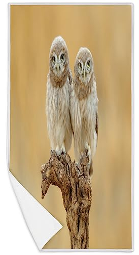 Handtuch mit Eulenmotiv, Mikrofaser, für Strand, Sport, Fitnessstudio, Spa, Yoga, Badezimmer