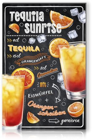 Cocktail Rezepte 20x30cm Alu Schild Deko Metallschild Dekoration für Bar Theke Pub Küche Cafe Geburtstag Geschenk Rezept RV003 (19 Tequila Sunrise)