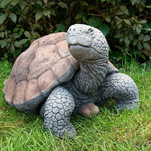 Stone Cast Large Life Size Tortoise Garden Ornament by DGS Statues