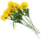 Cabilock 10st Künstlicher Löwenzahn Blumenarrangement Künstliche Löwenzahnblüten Lebensechter Löwenzahn Aus Kunststoff Tischdekoration Künstlich Grün Braut Blumendekoration Plastik Jahrgang