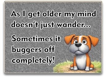 Funny Dog Refrigerator Magnet with Humorous Quote, 11 cm x 8 cm, Grey Wooden MDF, Perfects Token Gift For 60th 70th 80th Birthday