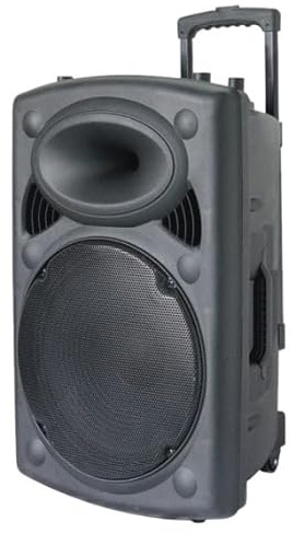 WEB world electronic business Cassa acustica amplificata 12” Bluetooth con microfono wireless e telecomando - 40,5x34,7x61,9 cm