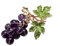 Broche bijou épingle grappe de raisin violet en acier.