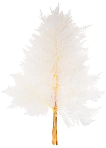 Cabilock Deko Bündel Getrockneter Pflanzen Pflanzenschmuck Für Zuhause Natürliche DIY-blumenarrangement-Dekoration Pflanzenfarne Zum Basteln Vasenfüllung Für Hochzeitstisch-dekor