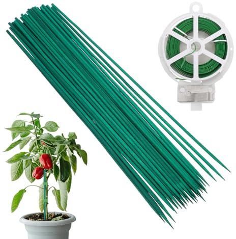 QUARKZMAN 50Pcs Tuteurs en Bambou 0.16 x 15.75 Tuteurs pour Plantes Vert | Avec Fil PVC De 164Ft Pour Plantes En Pot D'intérieur, Bâtonnets De Jardinage