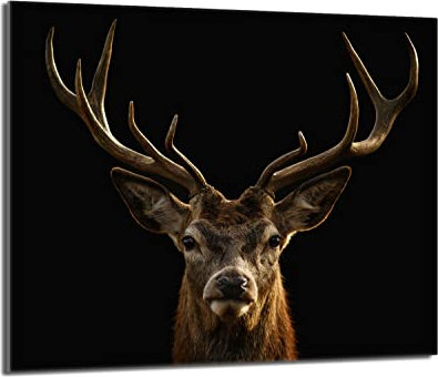 Herdabdeckplatte 60x52 Einteilig Glas Elektroherd Induktion Herdschutz Spritzschutz Glasplatte Deko Schneidebrett, Reh Schwarz