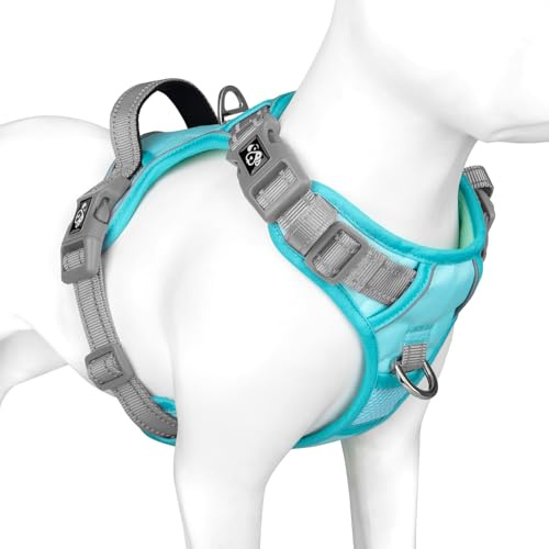PHOEPET Hundegeschirr Kleine Hunde, Anti Zug Verstellbar,Minzgrüne S | No Pull & Vollständig Verstellbar，2 D-Ringe，Schnellverschluss-Schnallen，Atmungsaktive Polsterung，Reflektierend,Mit Griff