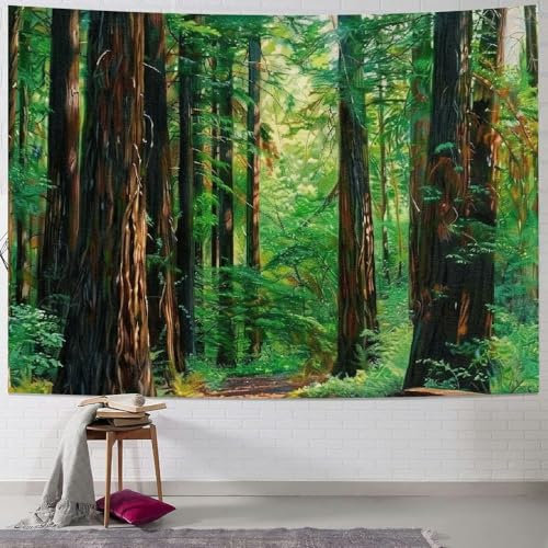 Wandtuch Redwood-Bäume Im Nordwesten, Regen, Tropische Landschaft, Wilde Natur, Zweig, Wandbehang Weiches Wandteppich Ideal Wand Dekoration Für Schlafzimmer Wohnzimmer Zimmer 130x152cm