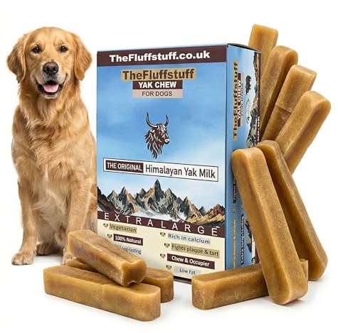 Himalayan Yak Chews for Dogs XL, All-Natural Extra Long Lasting Treat, Hard Cheese Chew for Dental Health, Made from Yak Milk (Pack of 10) gluten free cheese bones