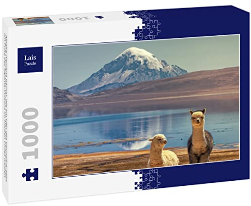 Lais Puzzle Alpaka (Vicugna Pacos), die am Ufer des Chungara-Sees am Fuße des Sajama-Vulkans im Norden Chiles weiden. 1000 Teile