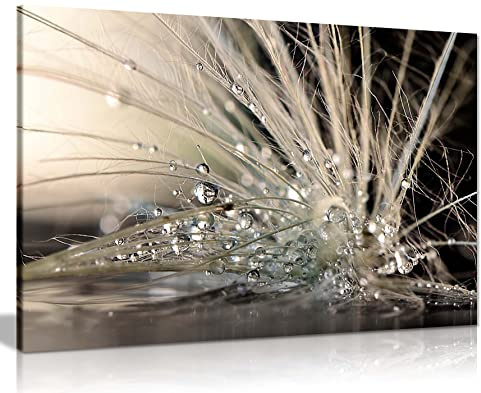 Panther Print Fine Art Prints Water droplets Feather Artistic Framed Canvas Print, Pictures for Home Walls, Bedroom, Living Room & Bathroom Decor 91x61cm (36x24in)