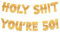 TOYVENTURES Pre-Strung 50th Birthday Decorations for Men Women, Happy 50th Birthday Banners, Gold Glitter 50 Banner Party Decor Sign, 50 Years Old Funny Banner Party Supplies Men Women