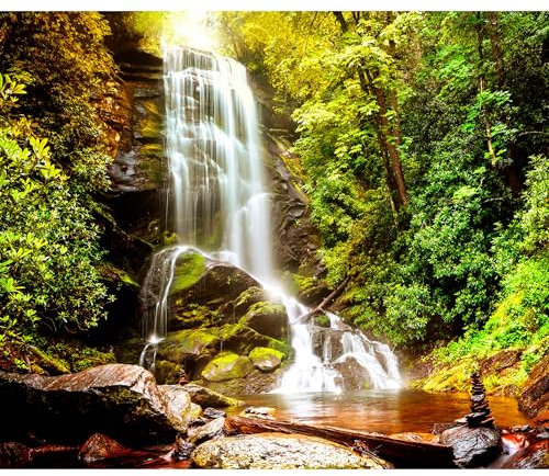 decomonkey - Papier Peint Panoramique Foret Cascade 250x175 cm - Décoration murale moderne – Tapisserie décorative pour chambre salon - Paysage forêt nature l'eau cascade