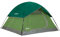 Coleman Unisex-Erwachsene Sundome Tent Zelt, Fichtengrün, 4 Person