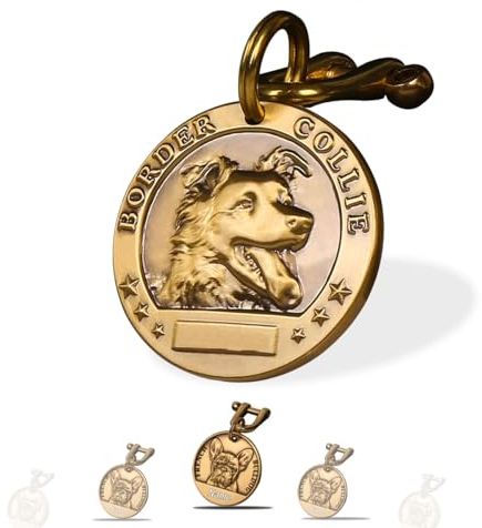 Hundemarke mit Gravur - Hundemarke Personalisiert Gravierter Text auf Beiden Seiten - Messing ⌀35-40mm Dog Tag (Border Collie)