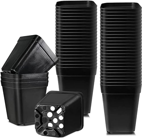 Plant Flower Pots for Seed Starting,7cm 50pcs Black Plastic Square Plant Nursery Pots,Seed Pot Flower Plant Container for Succulent Fruit Vegetable Seedlings Transplanting (50, 7x4.7x7cm)