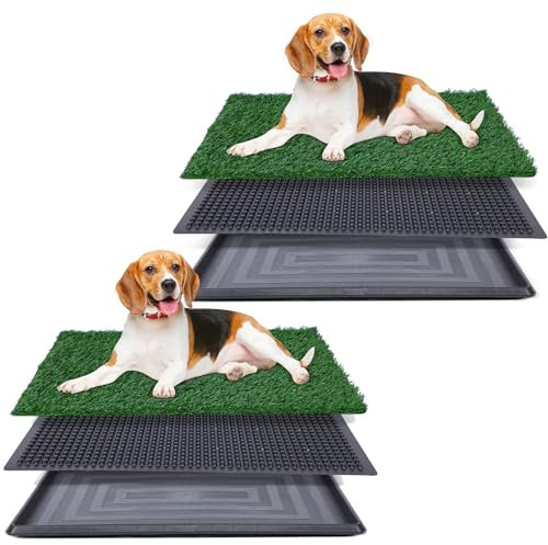 Kunstrasen für Hunde-Töpfchen, 50,8 x 63,5 cm, Starke Saugfähigkeit, Hundegras-Pad mit Tablett, Hundetöpfchentrainingspad, Hundetoilette mit Gras (50,8 x 76,2 cm x 2)