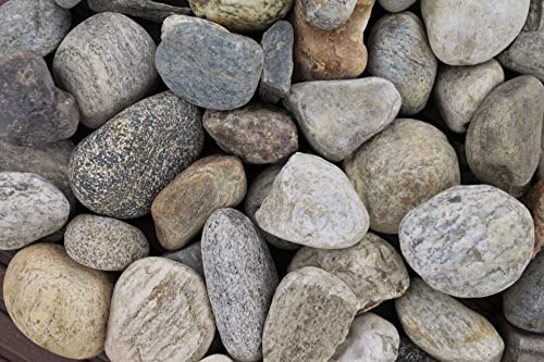 1 kg Bergkies gewaschen Körnung 30-60 mm bunt Mix Rheinkies Kieselsteine Zierkies Steine Deko Garten Wegkies