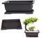 Elegante maceta rectangular de plástico para jardinería en casa y vivero (29 bandejas rectangulares)