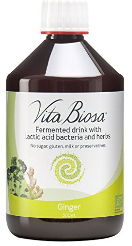 Vita Biosa Ingwer + Vitamin C Bio Fermentgetränk 500 ml – erfrischend im Geschmack durch natürlichen Ingwer – Milchsäurekulturen - 19 Kräutern – vegan, zuckerfrei, laktosefrei, Bio-Qualität