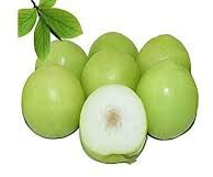 100pcs Grün Jujube Samen Honig süßen Termine Samen Obstbaum Bonsai Pflanze DIY Hausgarten