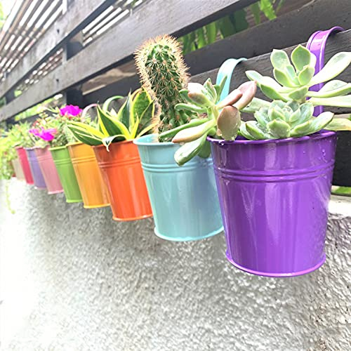 Petits Pots de Fleurs à Suspendre pour extérieur, 10,2 cm, 10 Pots de Fleurs colorés en métal Fer, jardinières de Balcon, Jardin, terrasse, Balustrade, Mur de clôture, Seau à Herbes pour fenêtre