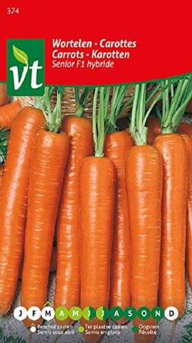 Semillas de Zanahoria Híbrida F1 Senior - Cosecha abundante y sabor excepcional