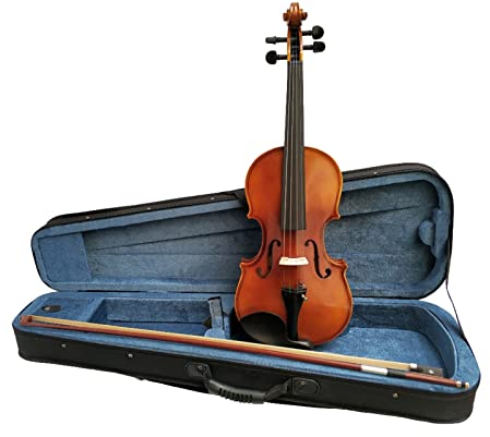 Violine 1/16-4/4 Violine Mit Canvas-Hülle Und Brasilien-Bogen Für Studenten, Anfänger Aldult (Color : 1/16)