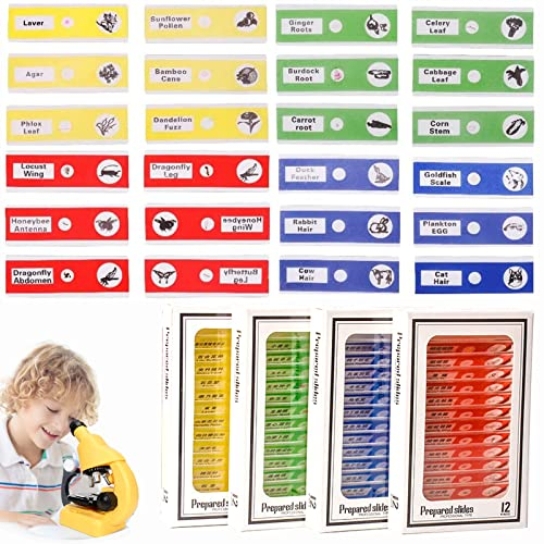 48 Stück Präparierte Objektträger,Vorbereitetes Mikroskop,Mikroskop Zubehör,Mikroskop Präparate Kinder,Dauerpräparate Objektträger Set,Biologische Probe für Studenten Erleuchten Bildung
