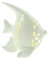 FRANK FLECHTWAREN LED-Fisch Tropical, schöne Maritime Porzellandeko, ca. 19 x 11 x 20 cm,
