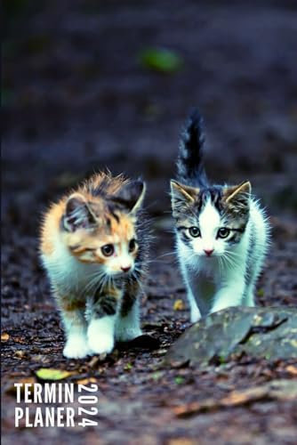 Terminplaner 2024: Kätzchen - Taschenkalender | Wochenplaner, Terminkalender von Januar bis Dezember 2024 Ideal für Studenten, Berufstätige und ... Kontaktliste, Notizen - Klein Taschenformat