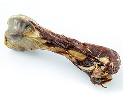 Os pour Chien - fémur de Porc - 10 pièces - saveur Unique - sans céréales - gencives saines - 100% Bio - friandises pour Chien - fabriqué en Espagne - GESPETFOOD