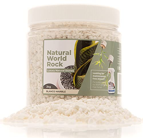 Natural World - Piedras decorativas para plantas (2kg, 5 mm de diámetro, perfectas para macetas de interior y exterior, para el hogar, jardín, macetas y mármol blanco)