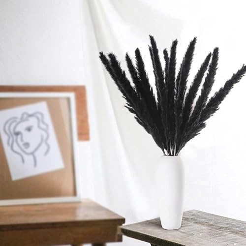 GEFIRE 30er Set Pampasgras Getrocknet Schwarz 44cm Natürliches Trockenblumen Deko Echter Schilf Federbusch für Vase, Boho Wohnzimmer Hochzeitsdeko