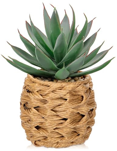 Hollyone Fake Succulents in Woven Basket, 8.6'' Frosted Artificial Agave Shaka Zulu, Faux Plants Indoor Decorative Greenery for Home Decor, Office Desk, Windowsill, Bathroom, Shelf Decorations
